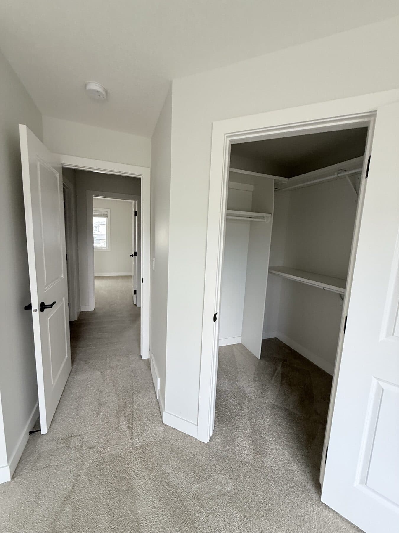 Freshly vacuumed carpet and cleaned walk-in closet